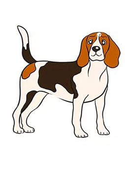 Idée de dessin de chien 13