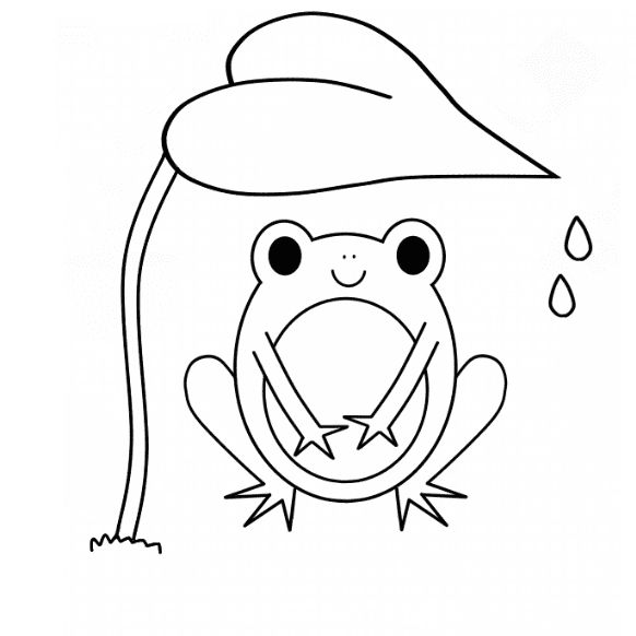 dessin grenouille etape 11