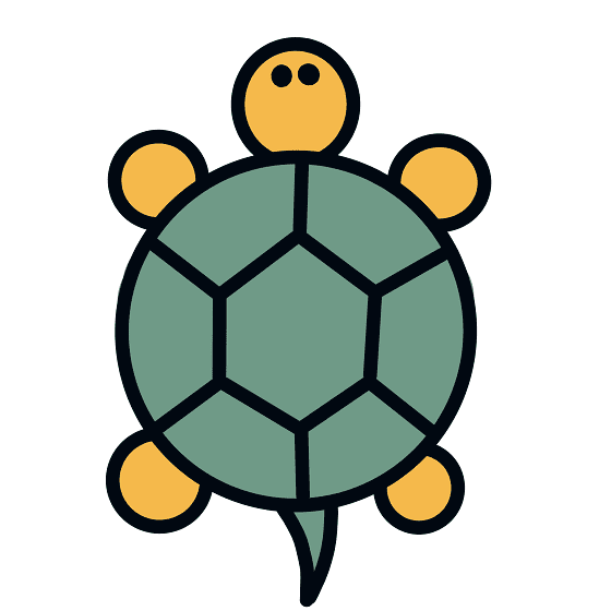 Dessin Tortue