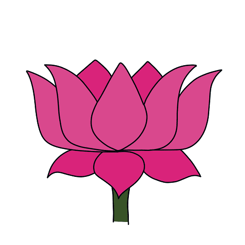 dessin-fleur-lotus-etape-4-1
