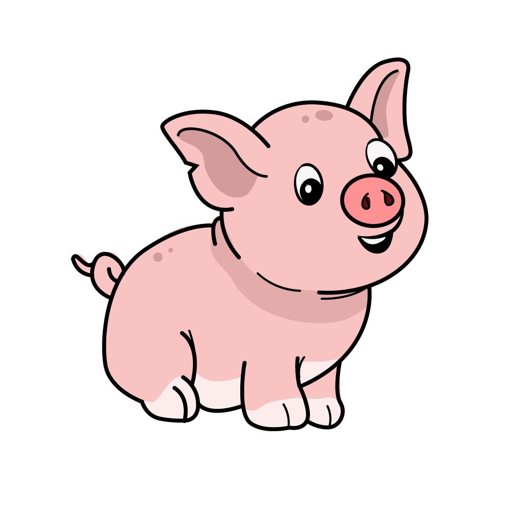 dessin-cochon-etape-7