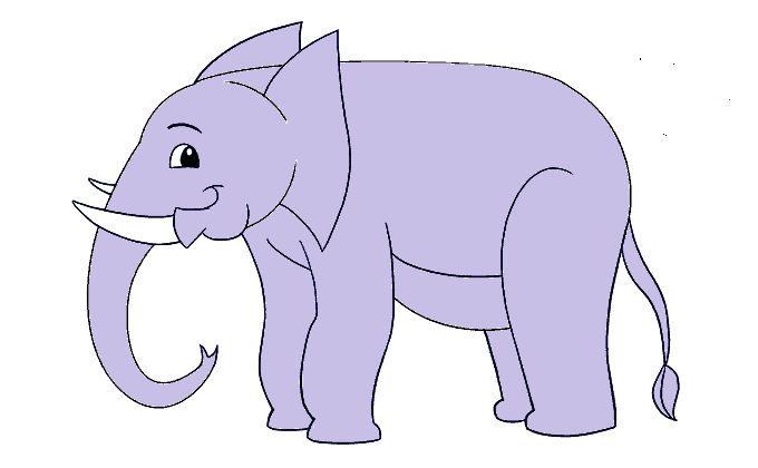 dessin-elephant-etape-11