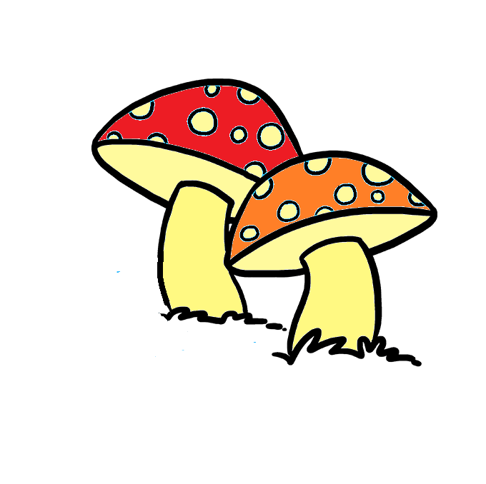 Dessin Champignon
