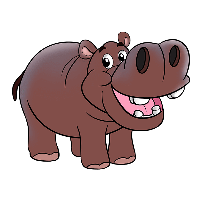 dessin-Hippopotame-etape-10