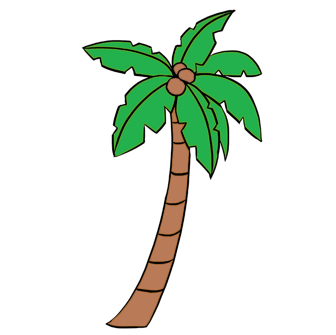 Dessin Cocotier