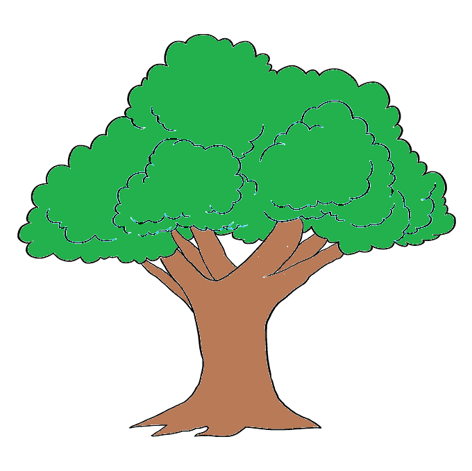 Dessin Arbre