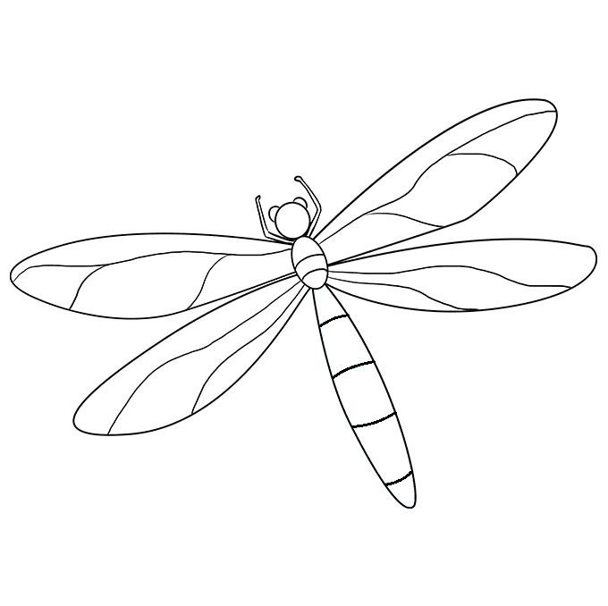 Libellule