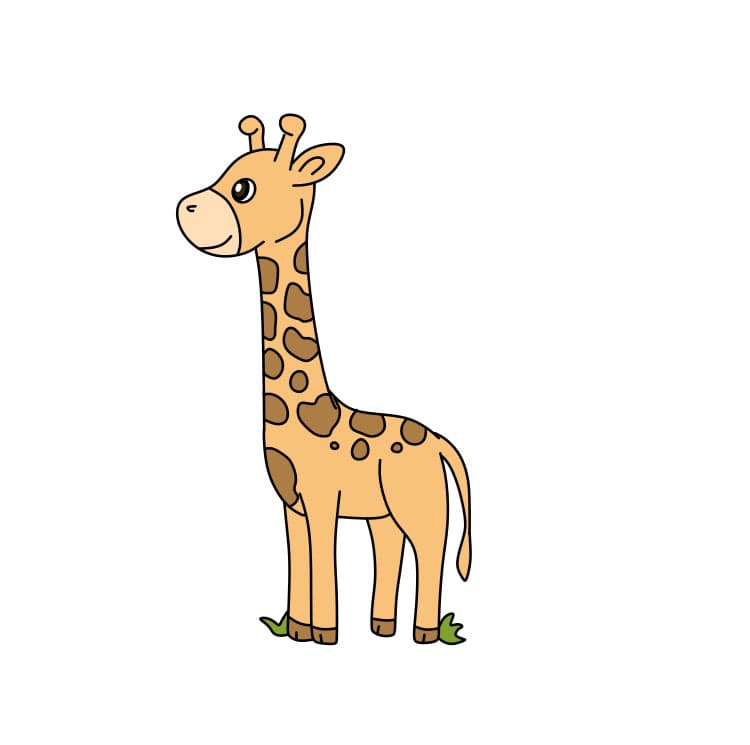 dessin-girafe-etape12-1