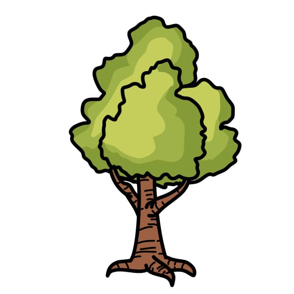 arbre-a-dessin-etape8