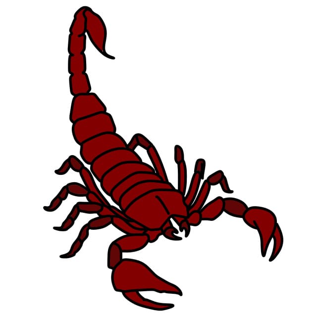 Dessin Scorpion