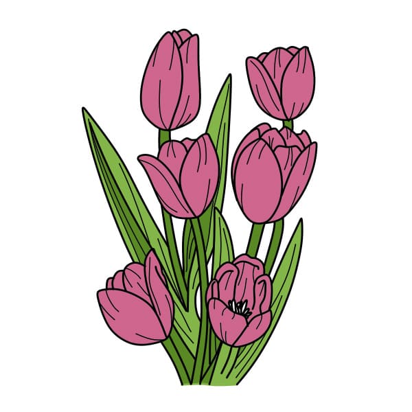 Dessiner-des-tulipes-etape11
