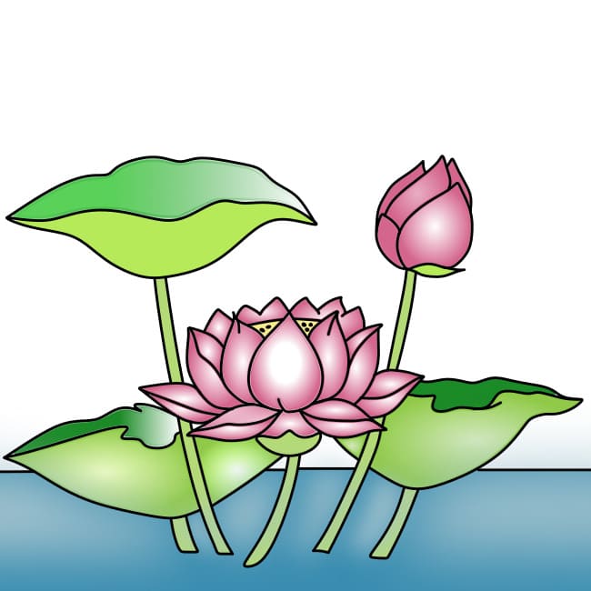 dessin-fleur-de-lotus-etape11-1