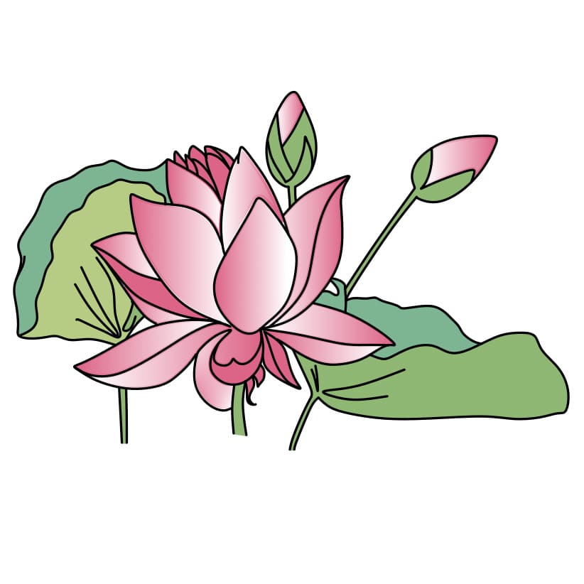 dessin-fleur-de-lotus-etape8-2