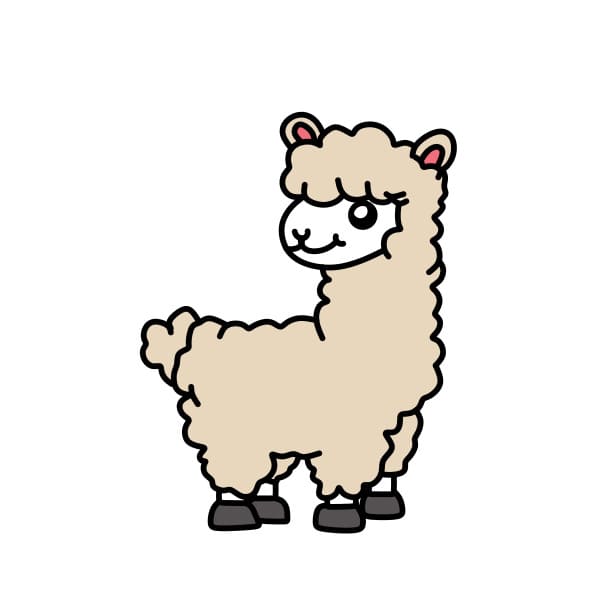 Lama